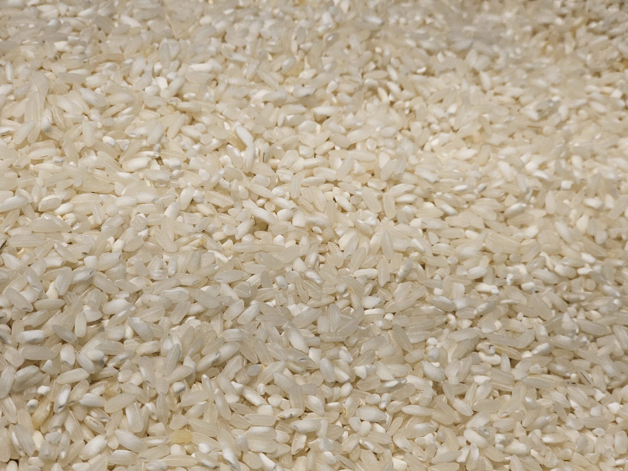 Bulk white rice grains for wholesale export
