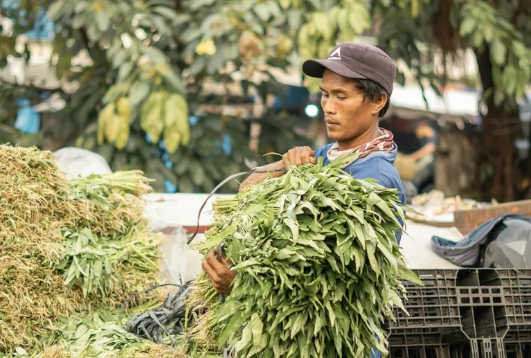 Premium Thai rice, grains, and refined sugars — milled, graded, and packed in bulk to your export specification.