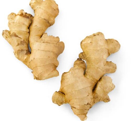 Type: Fresh Root Origin: Thailand Color: Light Brown Skin, Creamy Yellow Flesh Taste: Spicy, Aromatic Moisture: 85–90% Impurities: None Form: Whole Rhizome Shelf Life: 3–6 Months (Cold Storage) Packaging: 5kg / 10kg / 20kg Cartons or Mesh Bags Certifications: GAP, GMP, HACCP, ISO