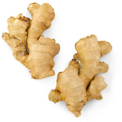 Type: Fresh Root Origin: Thailand Color: Light Brown Skin, Creamy Yellow Flesh Taste: Spicy, Aromatic Moisture: 85–90% Impurities: None Form: Whole Rhizome Shelf Life: 3–6 Months (Cold Storage) Packaging: 5kg / 10kg / 20kg Cartons or Mesh Bags Certifications: GAP, GMP, HACCP, ISO