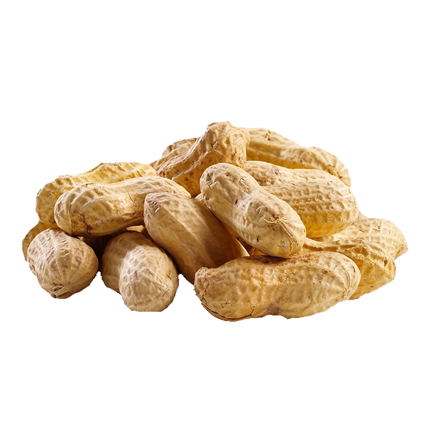 Groundnuts Peanuts