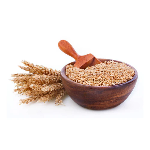 Product Name: Wheat Grain / Wheat Flour Origin: Thailand & Regional Partners Type: Hard Red / Soft White / All-Purpose Moisture: ≤ 13.5% Protein: 10–13% Purity: 99% Minimum Color: Light Golden (Grain) / White (Flour) Form: Whole Grain / Ground Flour Processing: Cleaned, Graded, and Milled Packaging: 25kg / 50kg PP Bags Shelf Life: 12–18 Months Certifications: HACCP, ISO 22000, GMP