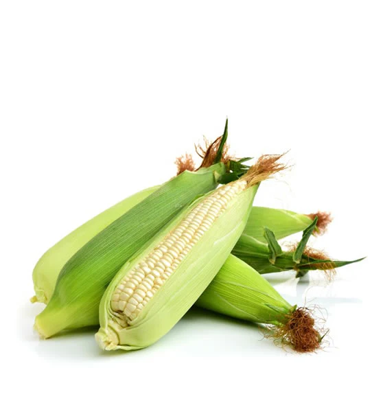White Corn - Maize