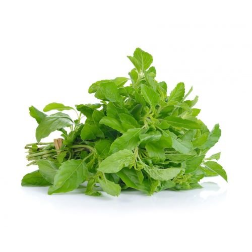Holy Basil Thai Basil